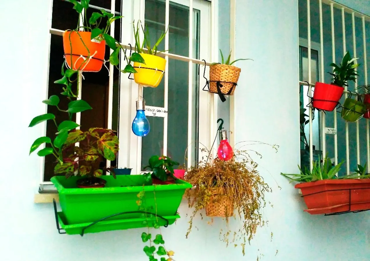 Pena Apartment Malaga